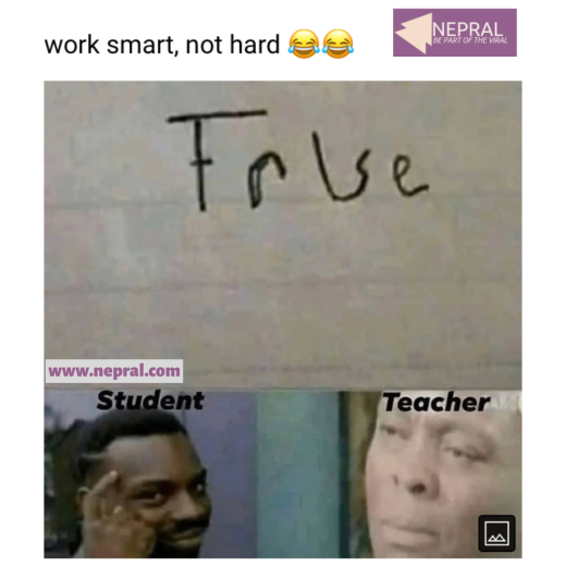 Funny Memes - Work Smart, Not Hard