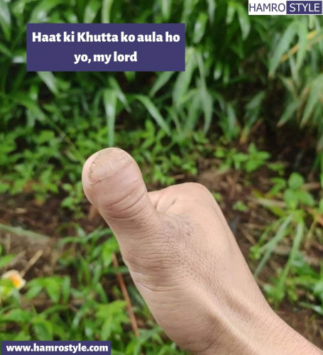 Haat Ki Khutta Ko Aula Ho Yo My Lord Hamro Style haat ki khutta ko aula ho yo my lord